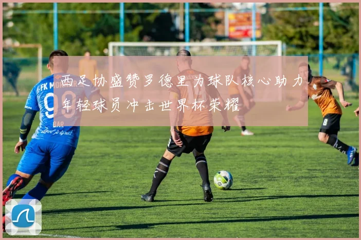 西足协盛赞罗德里为球队核心助力年轻球员冲击世界杯荣耀